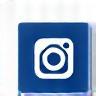 Instagram Icon